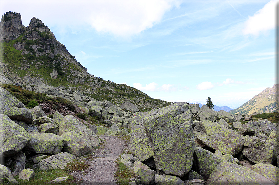 foto Forcella di Montalon